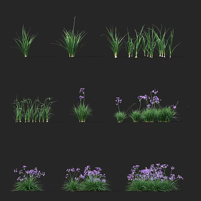 Modern Plant Garlic Plant 3d model Modern Plant Garlic Plant 3d model