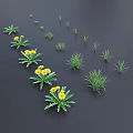 Lush Green Grass Meadow Scattered with Vibrant Yellow Flowers in Full Bloom