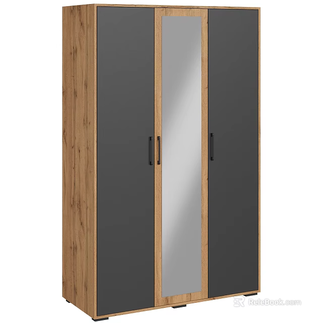 Modern Wardrobe Interior Design With Wooden Panels Mirror Doors And Black Handles 3d model 