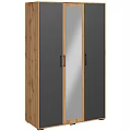 Modern Wardrobe Interior Design With Wooden Panels Mirror Doors And Black Handles