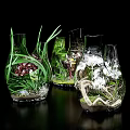 Decorative Ornament Sets Featuring Glass Vases Various Plants Purple And White Orchids