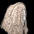 Realistic Human Head Model With Natural Blonde Curly Hair Texture