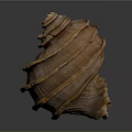 Brown Spiral Seashell With Layered Texture And Shiny Surface On Dark Background