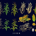 Detailed 2D Corn Illustrations Featuring Stalks Leaves Cobs and Kernels