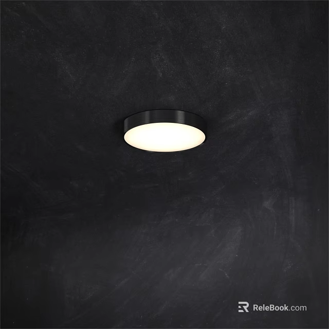 Modern Flush Mount Ceiling Light With Black Frame Round Design And White Illumination 3d model 