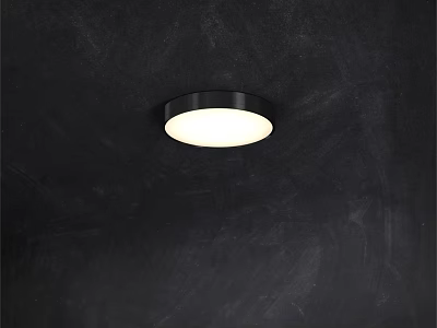 Modern Flush Mount Ceiling Light With Black Frame Round Design And White Illumination 3d model