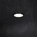 Modern Flush Mount Ceiling Light With Black Frame Round Design And White Illumination 3d model