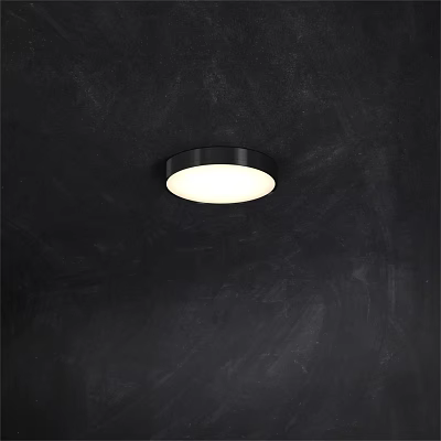 Modern Flush Mount Ceiling Light With Black Frame Round Design And White Illumination 3d model