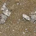 Natural Stones And Wood Scattered On Dry Soil With Small Rocks And Hay