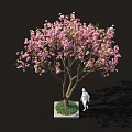 Beautiful Arbor Featuring Pink Blossoms And White Statue On Green Lawn Area