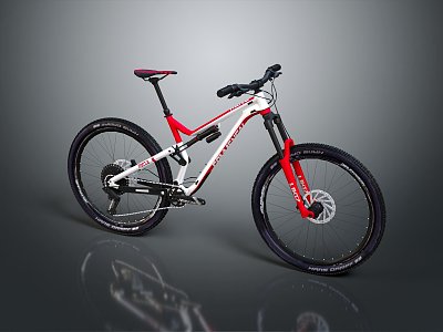 Modern Bike Cross Country Bike Sport Bike Race Bike model