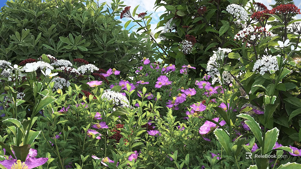 Colorful Garden Display With Blooming Purple And White Flowers And Lush Green Plants 3d model 