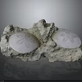 Two White Sand Dollars Embedded in Natural Rocky Surface With Intricate Patterns