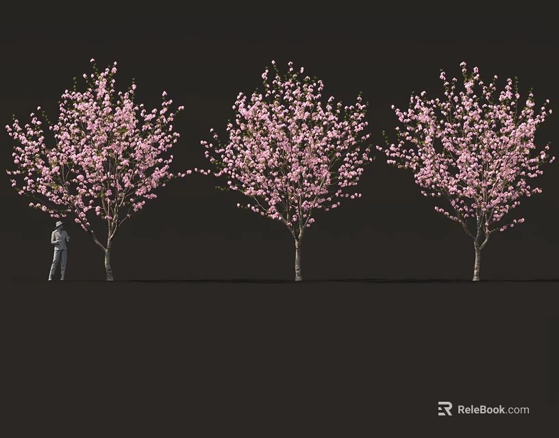 Three Tall Flowering Trees with Pink Blossoms and a Human Figure 3d model 