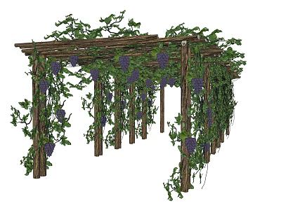 Wooden Pergola Covered With Green Vines And Purple Grapes In Garden 3d model