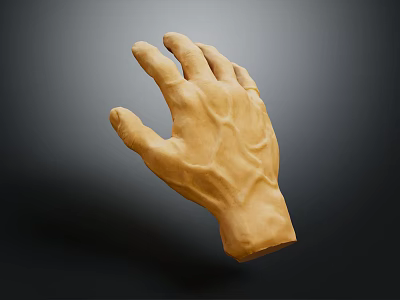 Detailed Textured Yellow Hand Model With Realistic Skin Features Against Dark Background 3d model