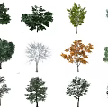 The Modern Tree 3d model