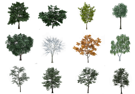 The Modern Tree 3d model