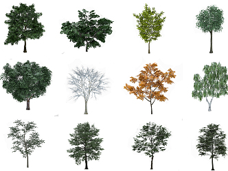 The Modern Tree 3d model