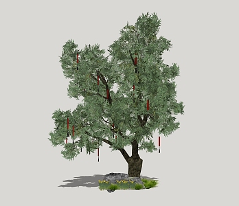 blessing tree landscape tree solitary tree planting 3d model