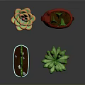 Decorative Potted Cactus Plants in Various Colored and Shaped Pots on Dark Background