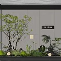 Indoor Landscape Interior With Large Tree Various Green Plants Stones And Round Lights