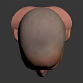 Realistic 3D Character Male Head Model With Bald Head Beard And Detailed Facial Features 3d model