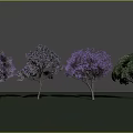 Beautiful Arbor Trees Featuring Purple Flowers And Various Crown Shapes In Natural Scene