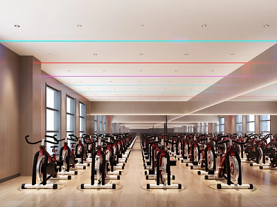 Modern Gym Workout Space With Rows Of Spin Bikes Large Windows And Bright Interior 3d model