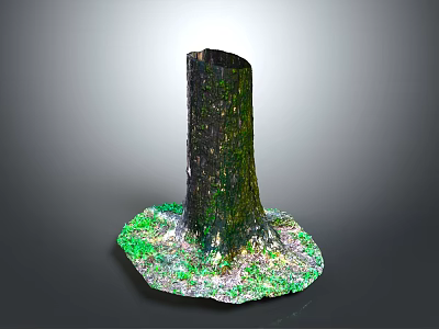 Natural Wooden Tree Stump Decorative Art With Green Silver Stone Base Design 3d model