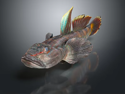 Colorful Fish with Patterned Body Vibrant Fins Tail and Reflection on Dark Background 3d model
