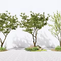 Modern Tree Landscape Tree 3d model