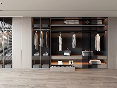 Modern Wardrobe Design With Glass Doors Shelves Hanging Clothes Bags And Shoes 3d model
