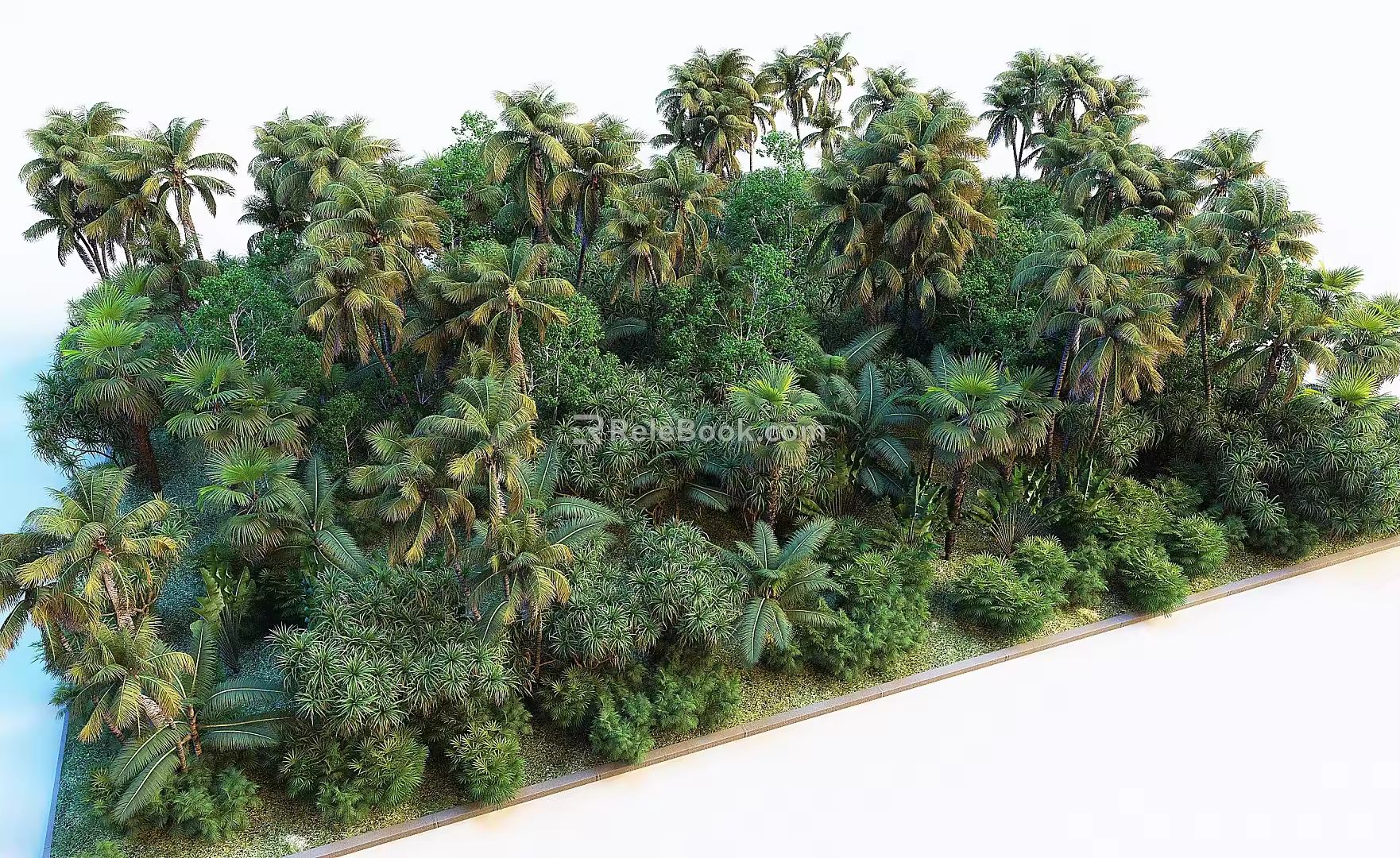 Bird's Eye Tree Tropical Forest Coconut Tree Palm Tree Arbor Trees Greening Landscape Trees Forest 3d model