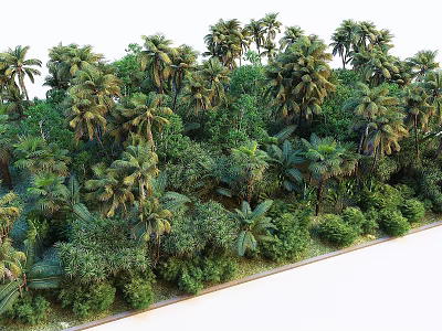 Dense Tropical Plant Combination With Palm Trees And Lush Green Vegetation 3d model