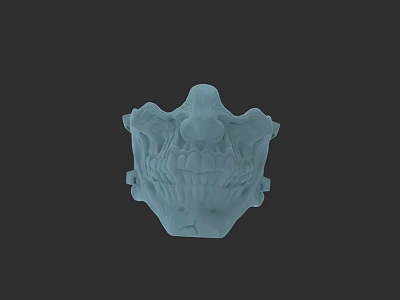 3D Anatomical Skull Model With Detailed Blue Digital Rendering And Medical Design Elements 3d model
