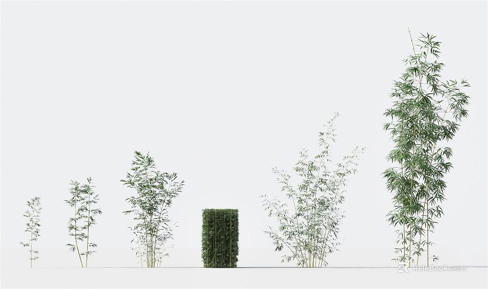 Various Types of Bamboo Plants With Different Heights And Green Foliage 3d model 