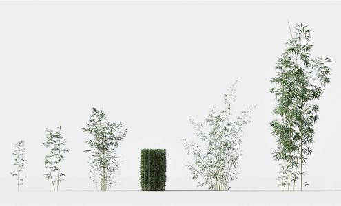 Modern Bamboo Green Plant Bamboo Combination Plant Flowers Green Bamboo Courtyard Landscape Green Plant Bamboo Combination 3d model