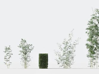 Modern Bamboo Green Plant Bamboo Combination Plant Flowers Green Bamboo Courtyard Landscape Green Plant Bamboo Combination 3d model