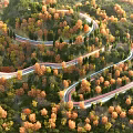 Winding Road Through Colorful Autumn Forest With Lush Trees