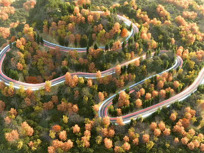 Winding Road Through Colorful Autumn Forest With Lush Trees 3d model
