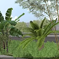 Scenic Natural Landscape With Green Plants Palm Trees Road And Clear Blue Sky