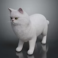 Detailed Realistic White Cat 3D Model Standing On Dark Surface With Green Eyes