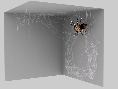 Reptile Lizard In Gray Corner With Intricate Spider Web Details 3d model
