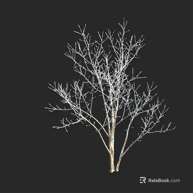 Bare Arbor Tree with Frost Covered Branches Against Black Background 3d model