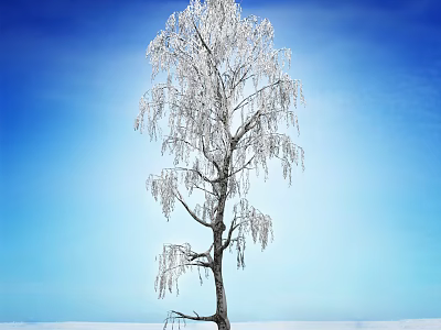 Tall Tree Covered With White Frost Against Blue Sky And Snowy Ground 3d model
