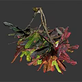 Colorful Decorative Plant Sculpture With Vibrant Multicolored Leaves And Branch Design