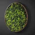 Circular Wooden Framed Feature Wall Decorated With Green And Yellow Moss
