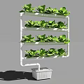 Vertical Farming Agricultural Equipment With Multi Layered Plant Racks And Green Vegetables