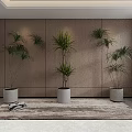 Multiple Indoor Potted Plants Decor With Wooden Wall Light Colored Pots And Floor Rug